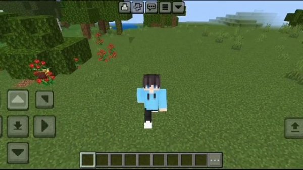 f5 button minecraft pe 1.21+ | f5 mod for minecraft pe 1.21 | f5 button mcpe 1.21+