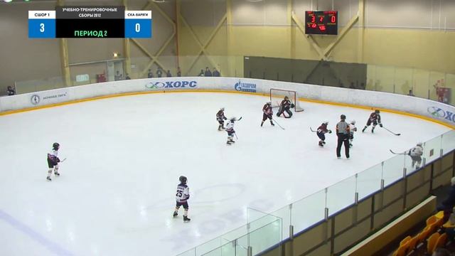 🏆Учебно-тренировочные сборы 🥅 СШОР 1 🆚 СКА-Варяги ⏲ 05 марта, начало в 18:00 смотреть онлайн