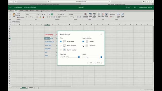 HOW TO CHANGE PAGE ORIENTATION IN PRINTOUT IN EXCEL ONLINE ONEDRIVE