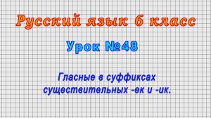 Русский язык 6 класс (Урок№48 - Гласные в суффиксах существительных -ек и -ик.)
