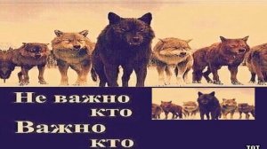 ЛИТВИНЕНКО - Людское басс буст