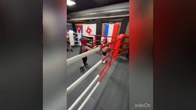 #ufc #хабиб #чимаеа #тайскийбокс смотреть онлайн