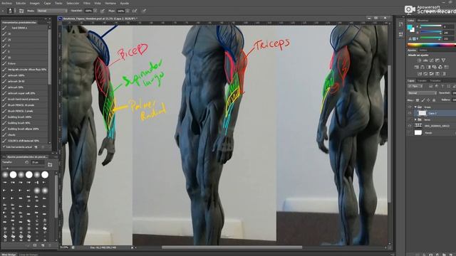 Zbrush Parte 6: Brazo смотреть онлайн