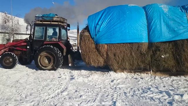 доставка сена 180 км по зимнику. северный дальнобой. зимник. якутия.