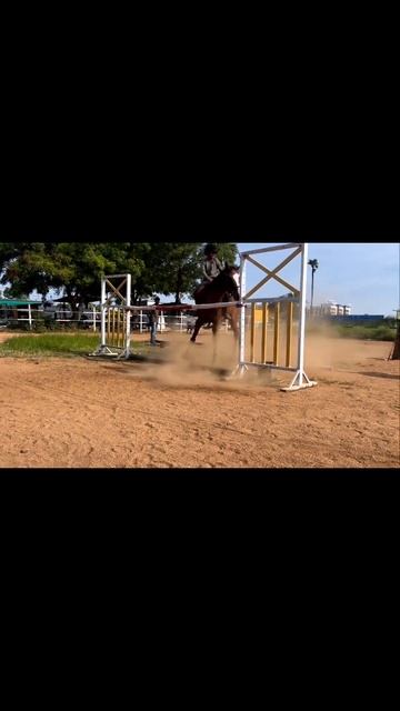 Never Give Up…#equestrian#equestrainlife#equestrians#horses #horse#horselove#hyderabadlife#horselif смотреть онлайн