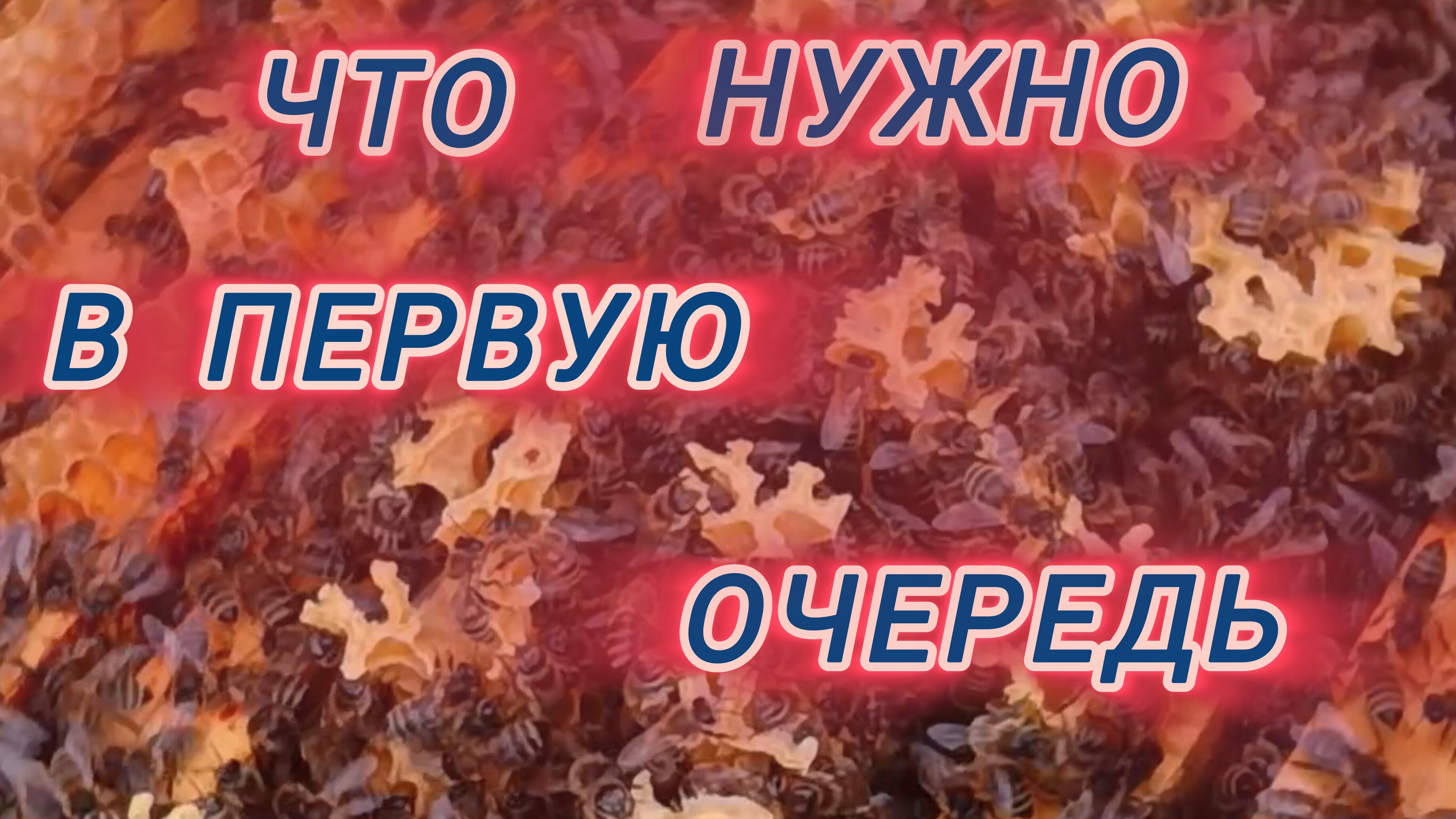Что нужно в первую очередь 🐝 смотреть онлайн