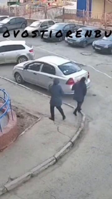 В Оренбурге лошадь с детьми в карете на большой скорости врезалась в беседку 😱