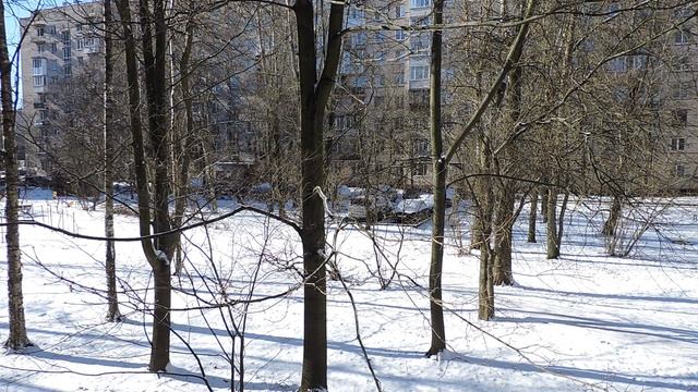 2025-03-15 Вид из окна, середина марта.