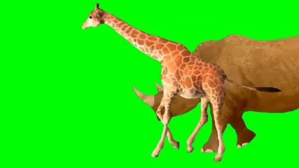 animals stampede green screen|green screen video| All animals green screen video|