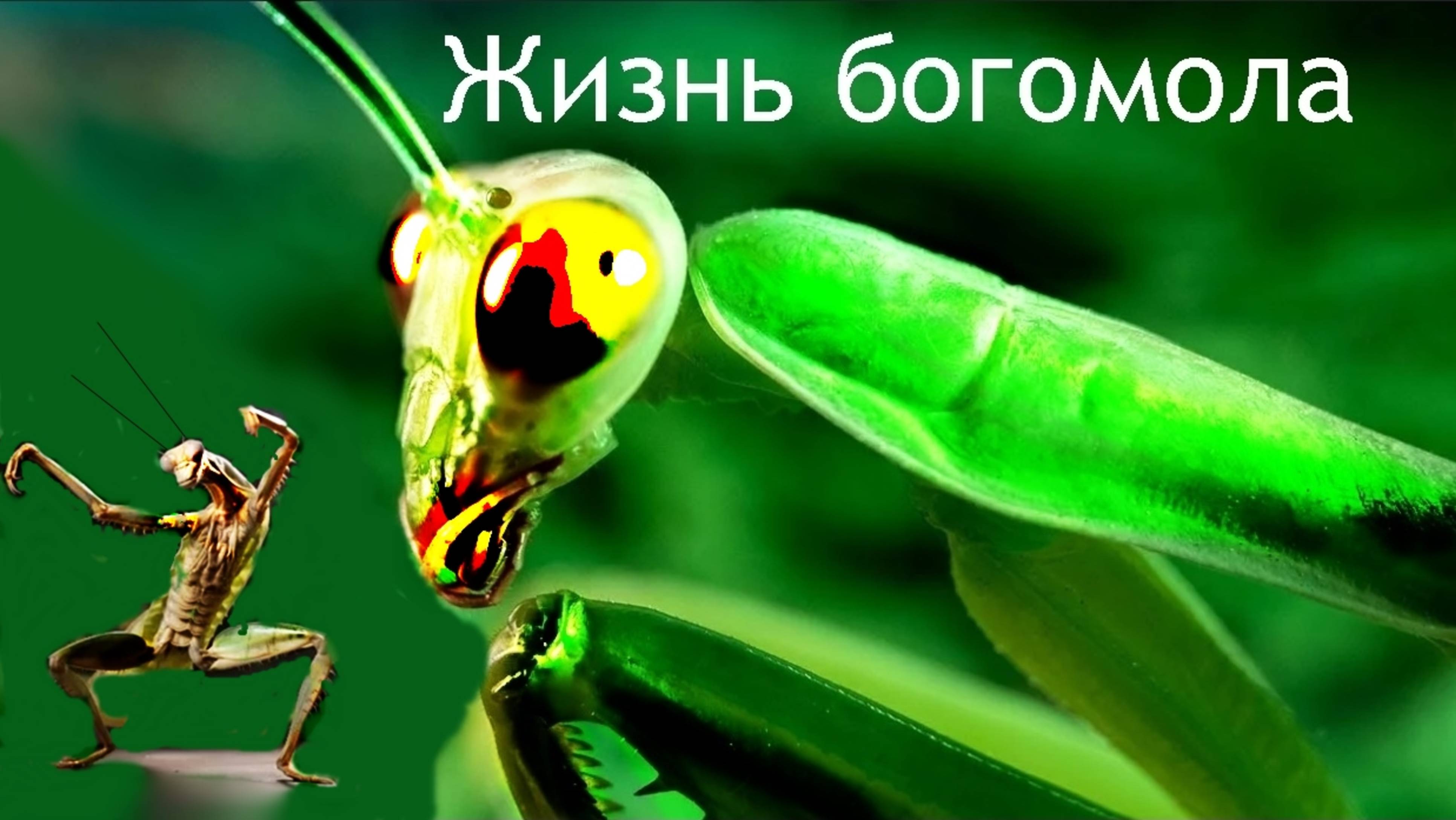 ч2.Богомол дворовой но беспощадный смотреть онлайн