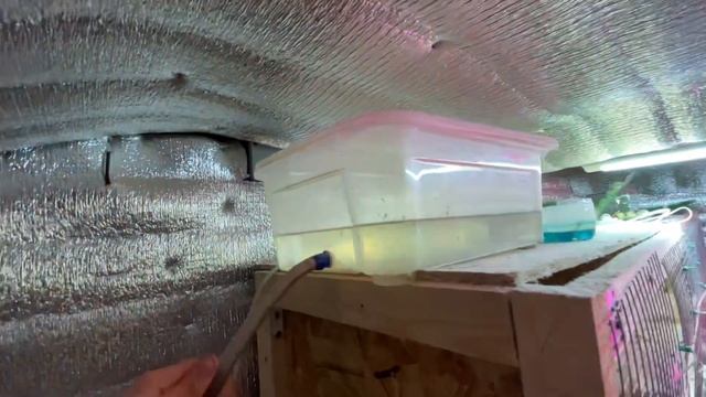 Клетки для перепелов своими руками! #ферма #перепела #perepel смотреть онлайн