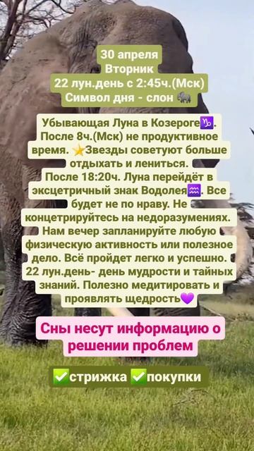 #гороскоп #астрология #овен #телец #близнецы #рак #лев #дева #весы #скорпион #стрелец #козерог смотреть онлайн