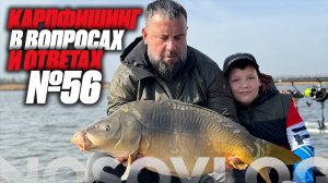 Карпфишинг в вопросах и ответах #56