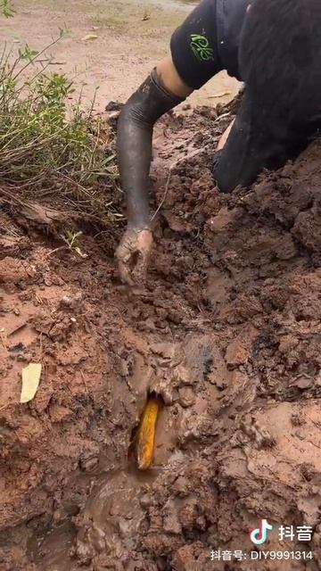 Satisfying Catching Seafood China : Shark , Octopus , Fishing , Crab ... #short смотреть онлайн