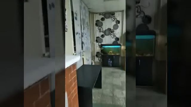 Подмосковье 2021. Персональная выставка художника, члена союза художников Элен Веточки смотреть онлайн