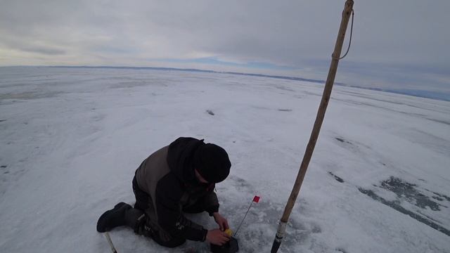 Эдуард Юрьевич