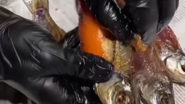 Вобля вяленая Астраханская с икрой - купить в Дисконтбери