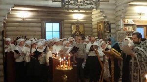 Пассия 16 марта 2025 года. Храм свв. Кирилла и Марии, территория стройки Троицкого храма.