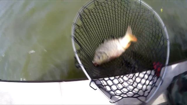 Рыбалка в ЗАО Гжелка / Ловля мирной рыбы на поплавок смотреть онлайн