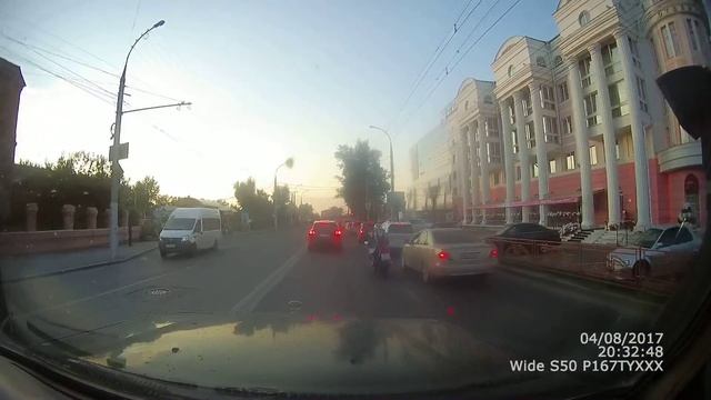 Стадо баранов