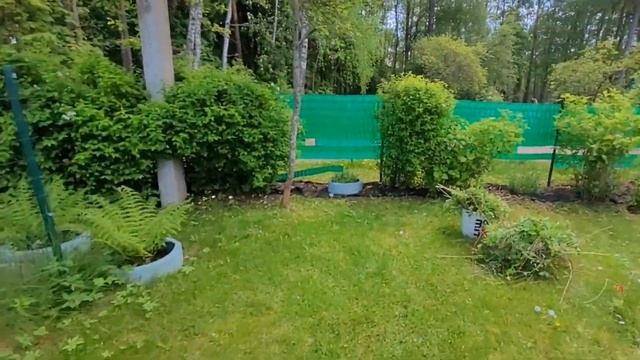 май ,покосила , перцы посадила смотреть онлайн