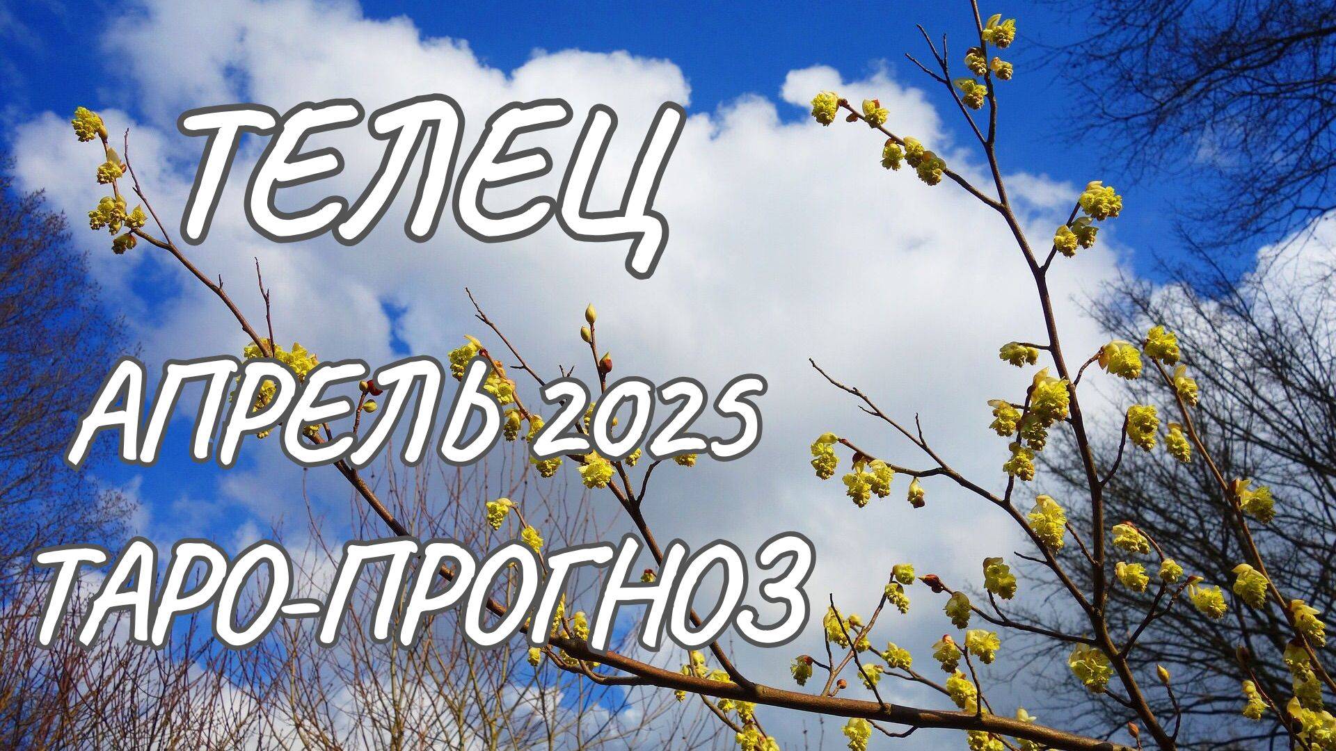 Телец ♉ Таро-прогноз на апрель 2025 года смотреть онлайн