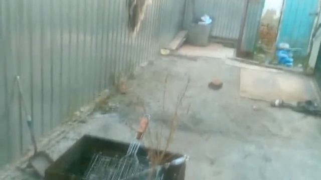 Опять бешеные крысы 2 смотреть онлайн