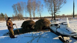 Зимний  сенокос. Вывозим остатки сена с покоса на снегоходе.
