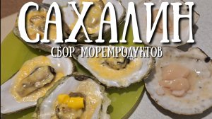 Сахалин - открываю сезон сбора морепродуктов