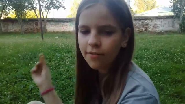 Пародия на грибы КОПЫ