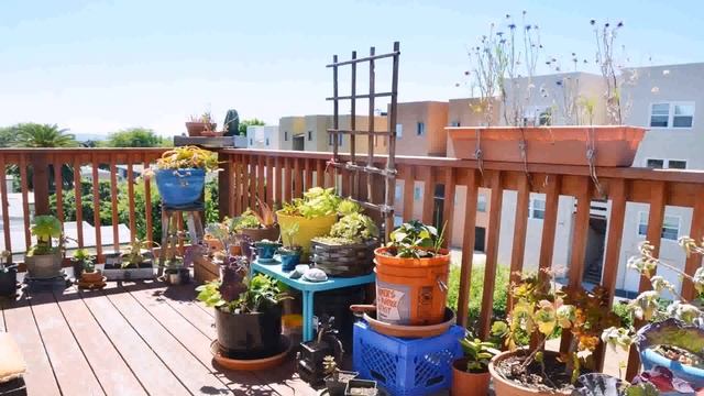 Small Balcony With Plants (see description) смотреть онлайн
