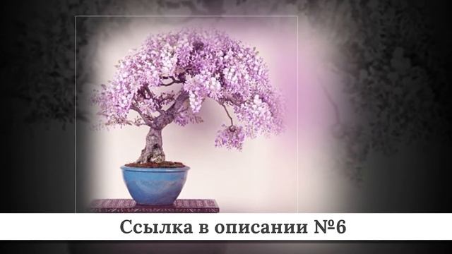 Подборка Товаров для сада из китая #1 смотреть онлайн