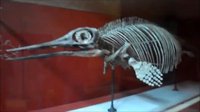 Vlog Londres: Big Ben, London Eye, Meridiano De Greenwich,  Palácio De Buckingham, Tower Of London