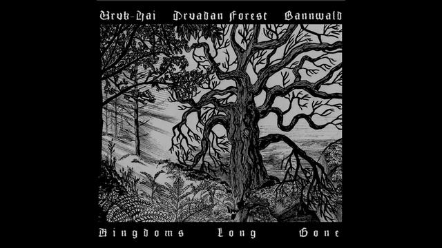 Bannwald / Uruk-Hai / Druadan Forest - Kingdoms Long Gone [Split] (2020) (Dungeon Synth, Ambient) смотреть онлайн