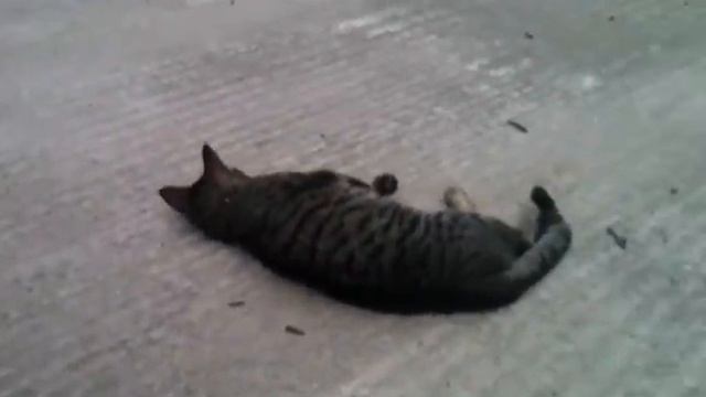 2 GIRLS 1 PUSSY! смотреть онлайн
