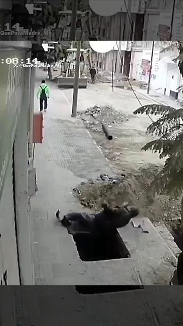 Сила земного притяжения ✌️😉😂😂😂 смотреть онлайн