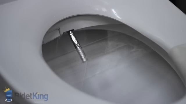 What is a Bidet Seat? - BidetKing.com смотреть онлайн