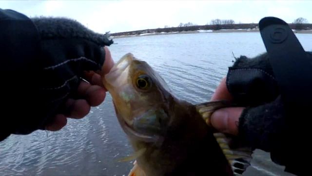 Весенний спиннинг в подмосковье (19.03.2016) смотреть онлайн