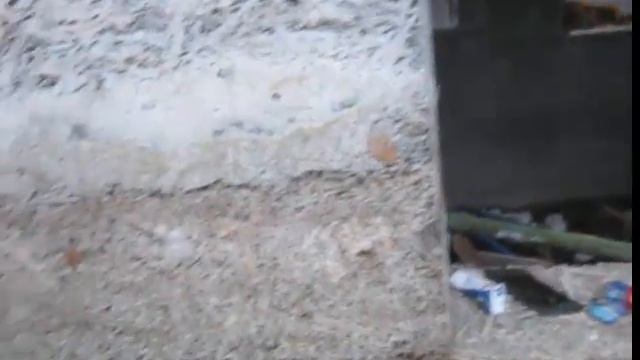 Пристройка из арболита . Часть 10.Выбор состава. смотреть онлайн