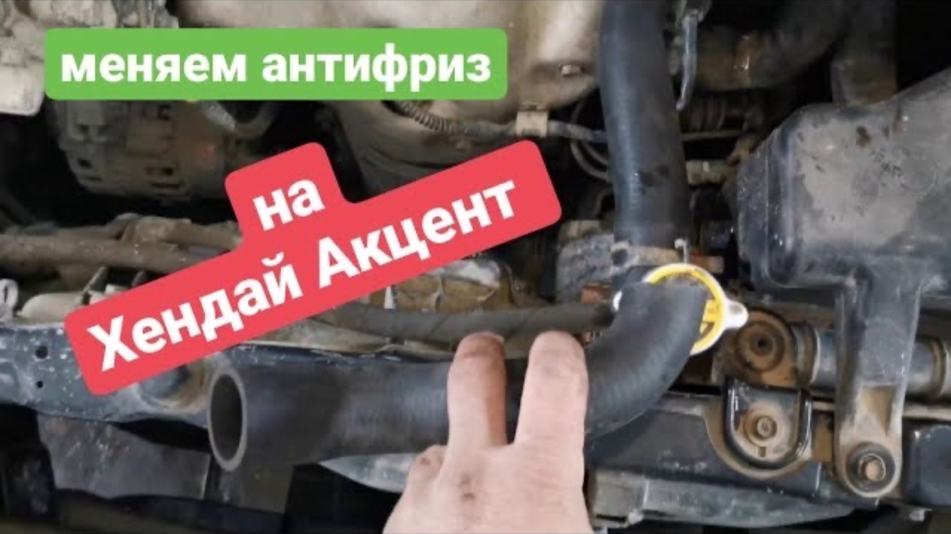 Как поменять антифриз на Хендай Акцент. Замена охлаждающей жидкости на Hyundai Accent смотреть онлайн