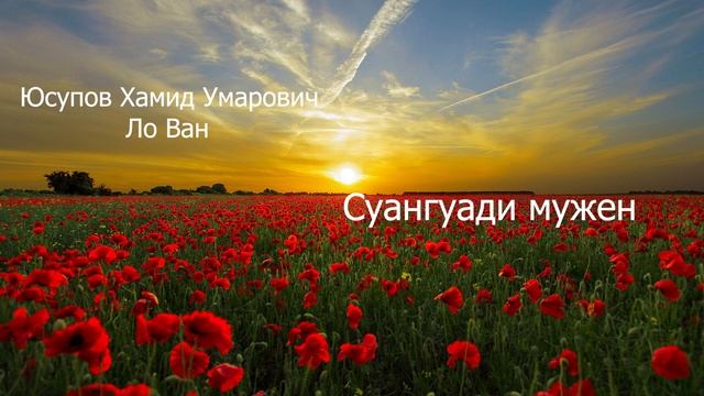 Юсупов Хамид Умарович (Ло Ван) - Суангуади мужен смотреть онлайн