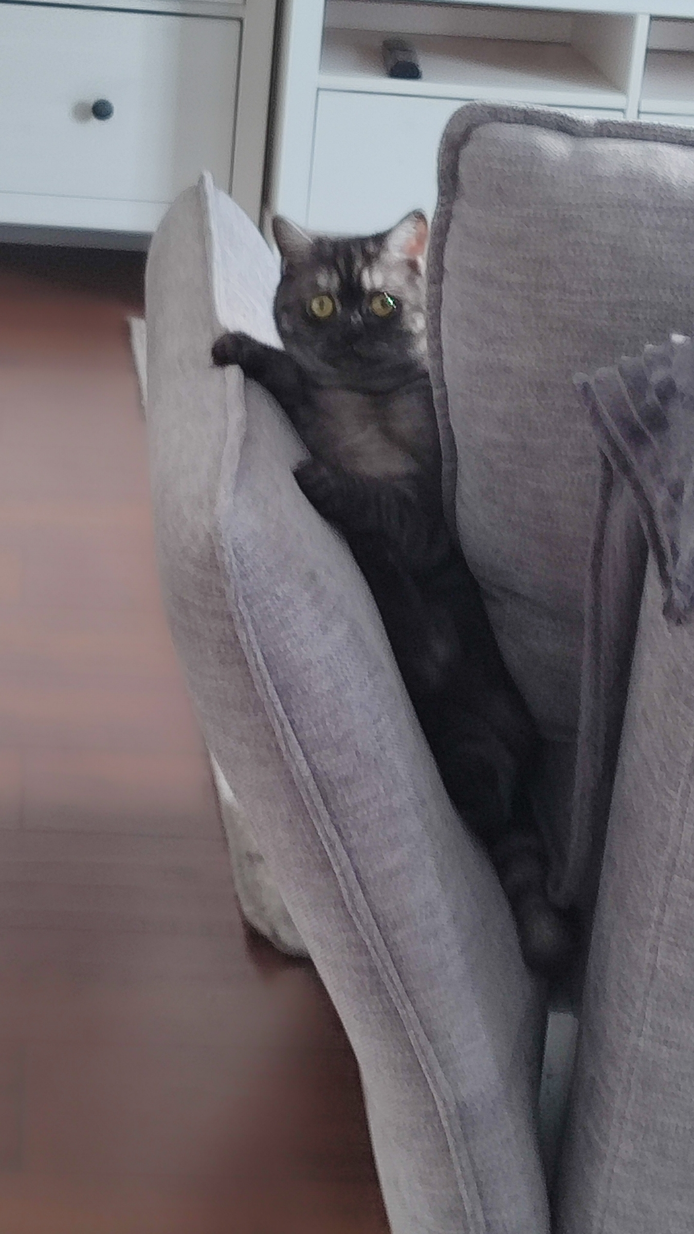 МЫШКА УКРАЛА МЯЧИК смотреть онлайн