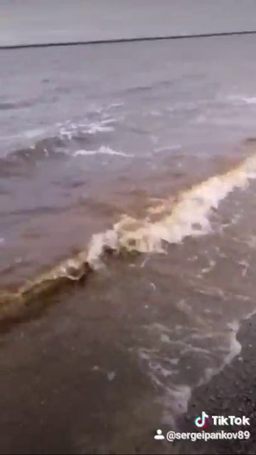 рыбалка на оби,трофейный налим от Михалыча смотреть онлайн