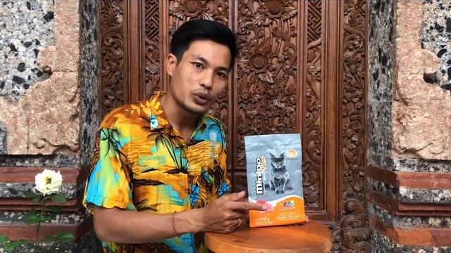 Review Minino Plus Adult// Review makanan kucing tinggi protein // urinary care смотреть онлайн