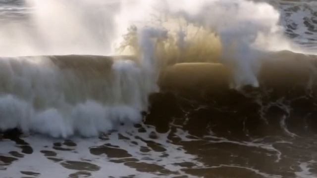 ожившие картины Ran Ortner (1) смотреть онлайн