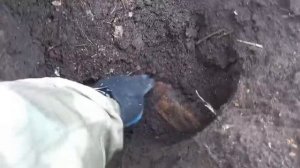 Весенний КоП на ферме 2023!!!