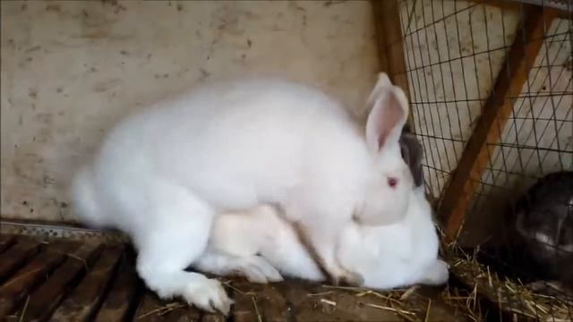 сношения смотреть онлайн