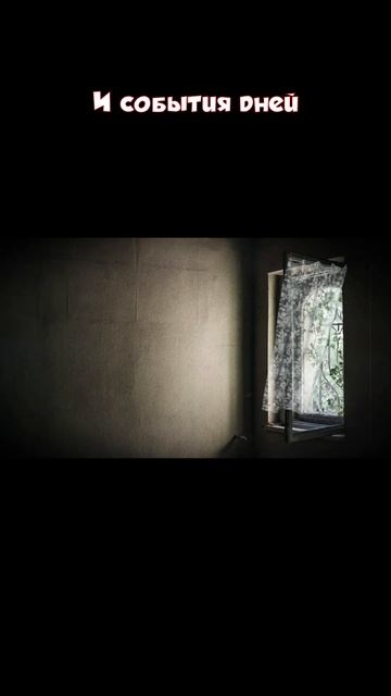 ШОРТИК. Взгляд со стороны (минус Каста - Сестра) смотреть онлайн