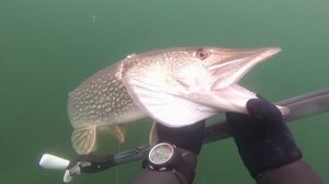 подводная охота