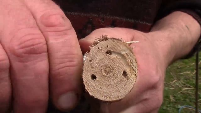 How To Make The Easiest And Best Oil Barrel Barbecue Ever! (No Welding) смотреть онлайн